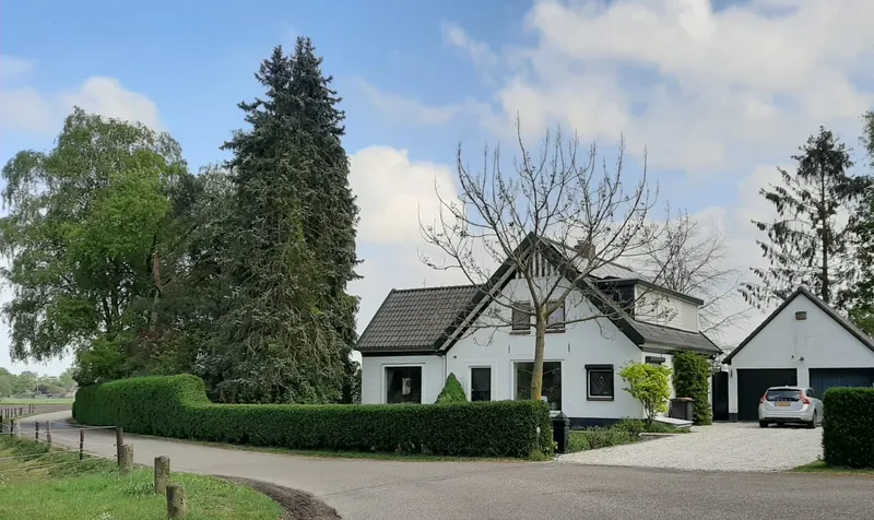 Een wit vrijstaand huis met een donkere kap, een garage en hoge bomen